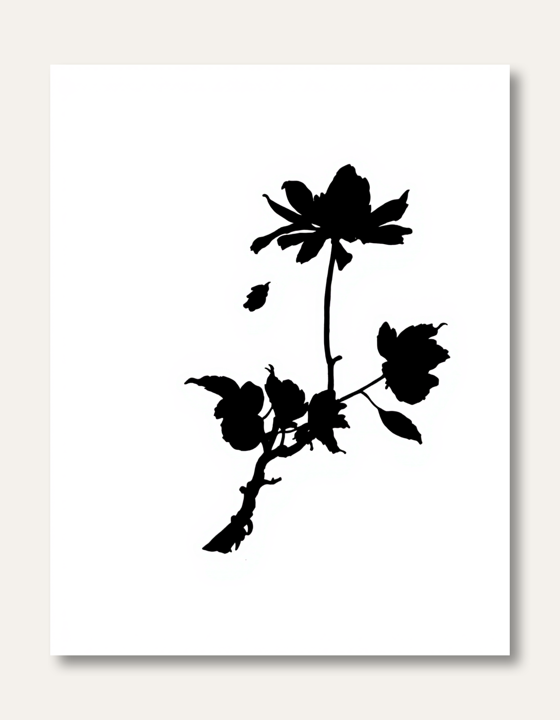 Elegant Silhouette of a Single Stem Flower